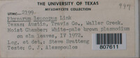 Image Associated With the Occurence